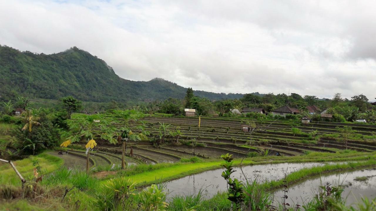 Astana Swaha Estate