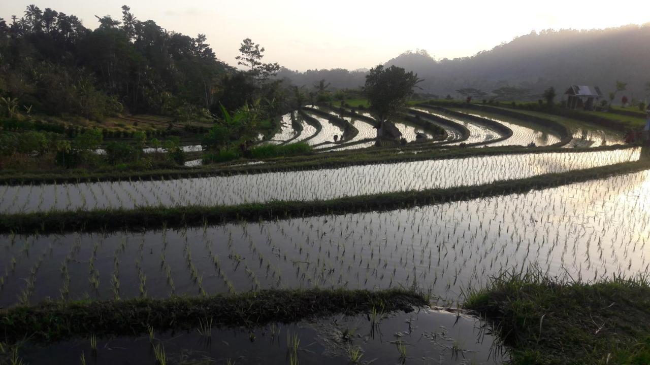 Astana Swaha Estate * Sidemen (Bali)