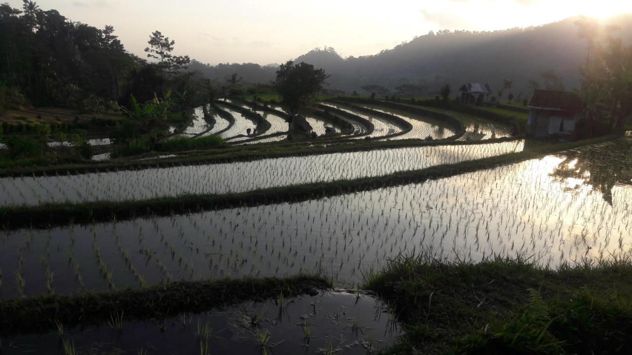 Astana Swaha Estate * Sidemen (Bali)